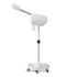Gesichtsverdampfer Vaporsteam Ozon Chromotherapie
