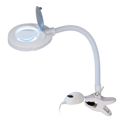 Carrying lamp with LED light and 3-diopter magnifying lens