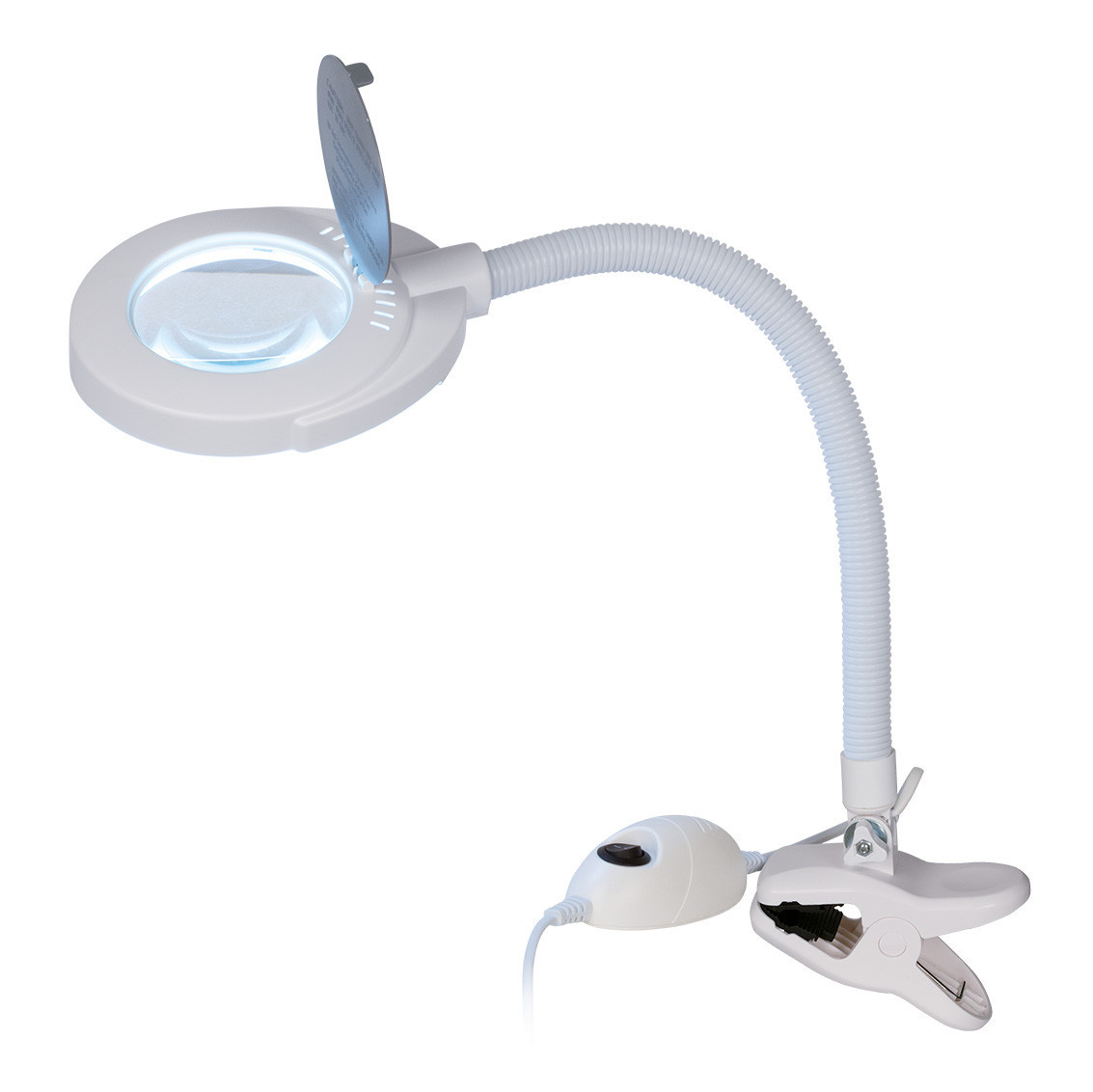 Carrying lamp with LED light and 3-diopter magnifying lens