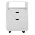 Avant professional trolley with pull-out compartment and 2 drawers white