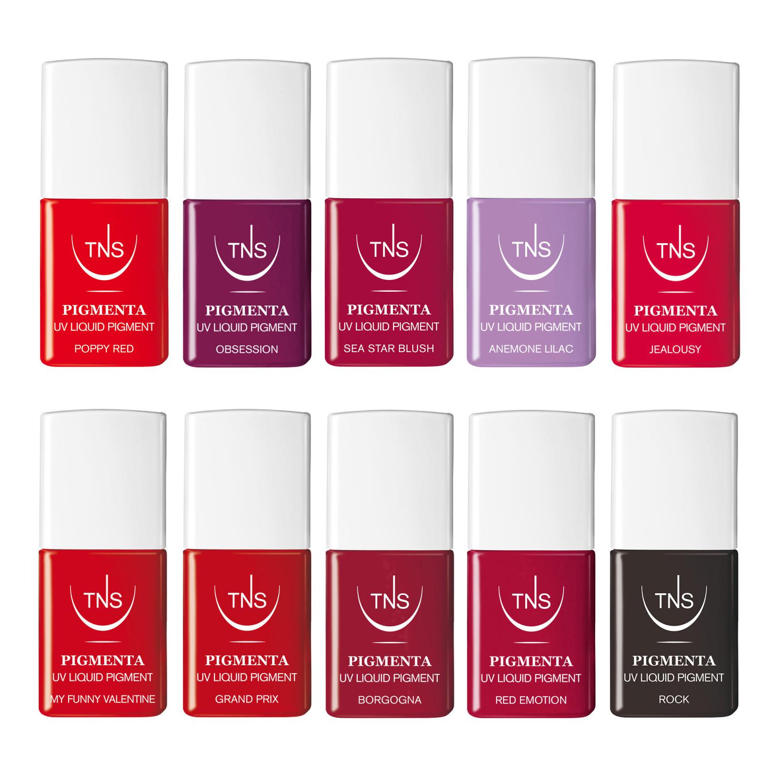 Angebot TNS UV Flüssigpigment Pigmenta 47 Stk.