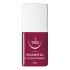 Kit promozione discovery Pigmenta 9 pz