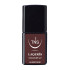 Smalto semipermanente bordeaux Aubergine 10 ml Laqerìs TNS
