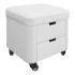 Galaxy multi-purpose stool for pedicure and manicure with two drawers