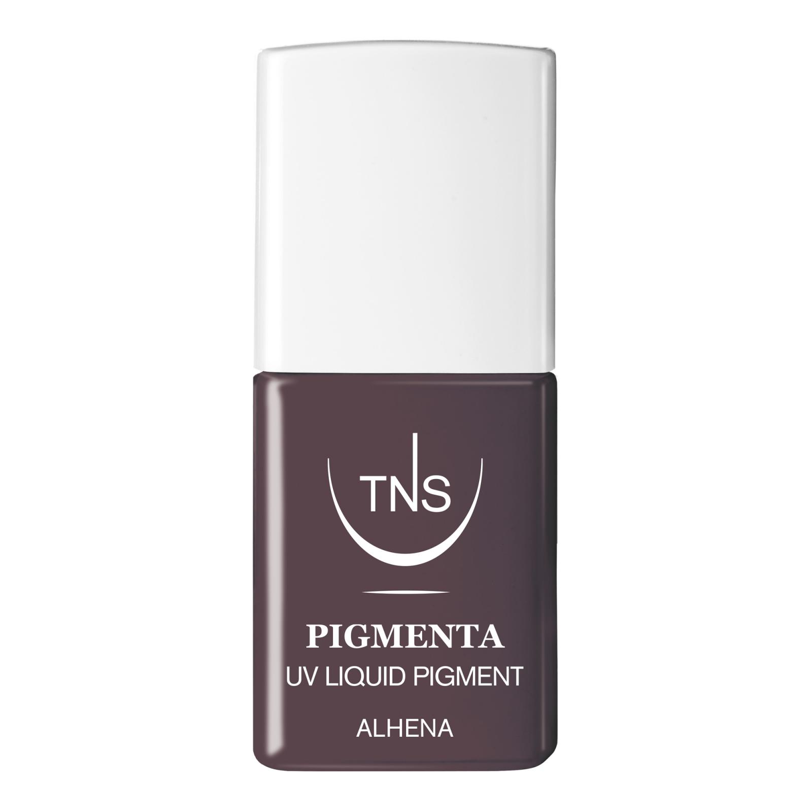 UV Liquid Pigment Alhena mud brown 10 ml Pigmenta TNS