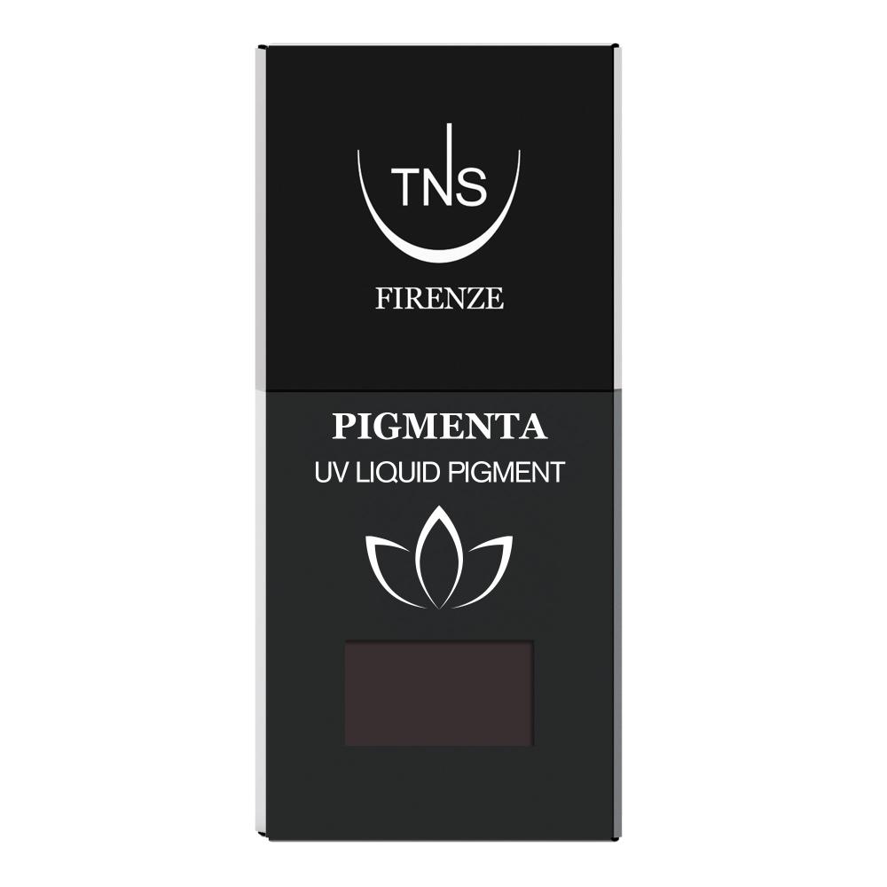 UV Liquid Pigment Rock dark brown 10 ml Pigmenta TNS