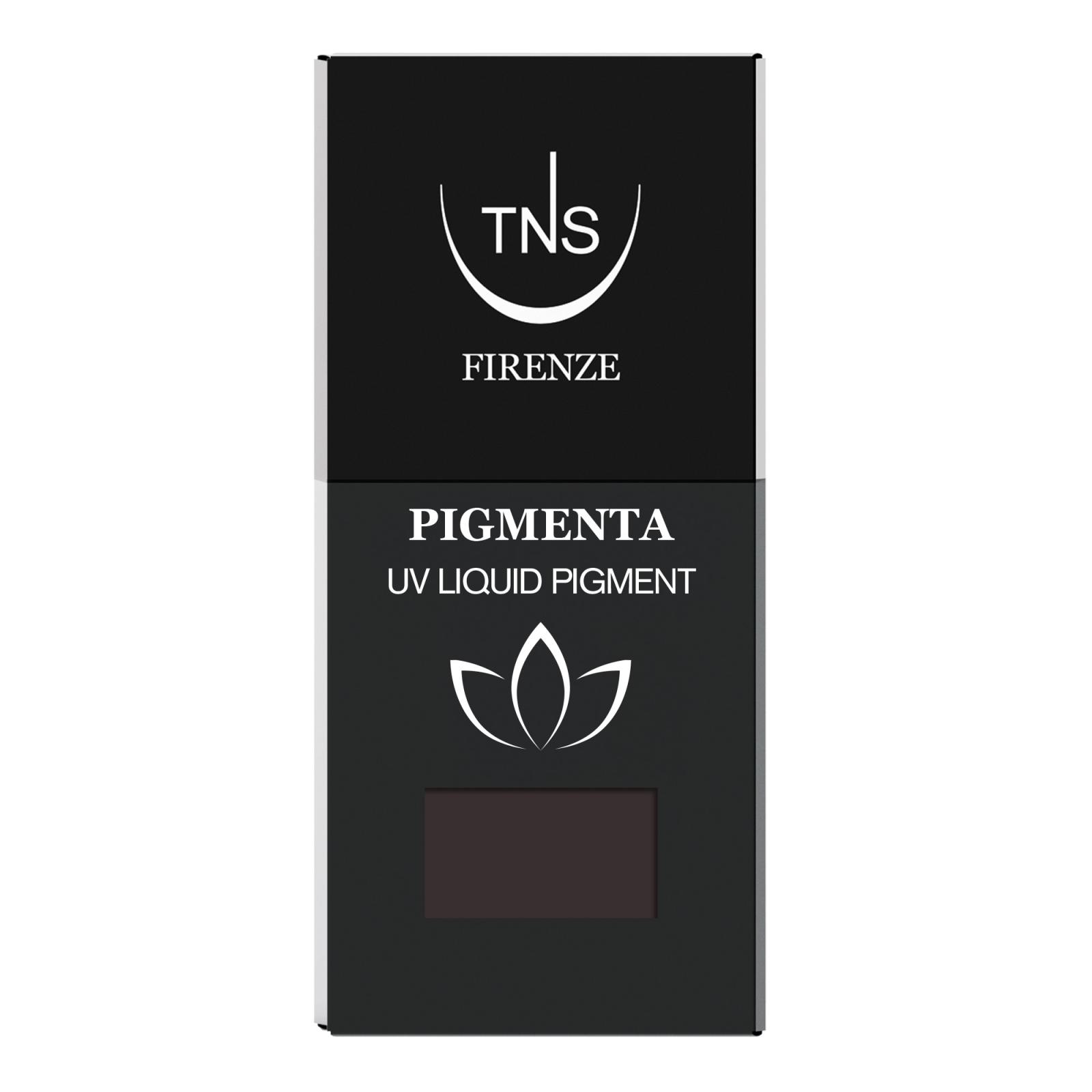 UV Liquid Pigment Rock dark brown 10 ml Pigmenta TNS