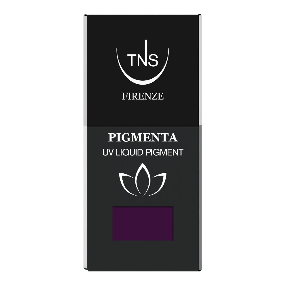 UV Liquid Pigment Vintage Blossom dark violet 10 ml Pigmenta TNS