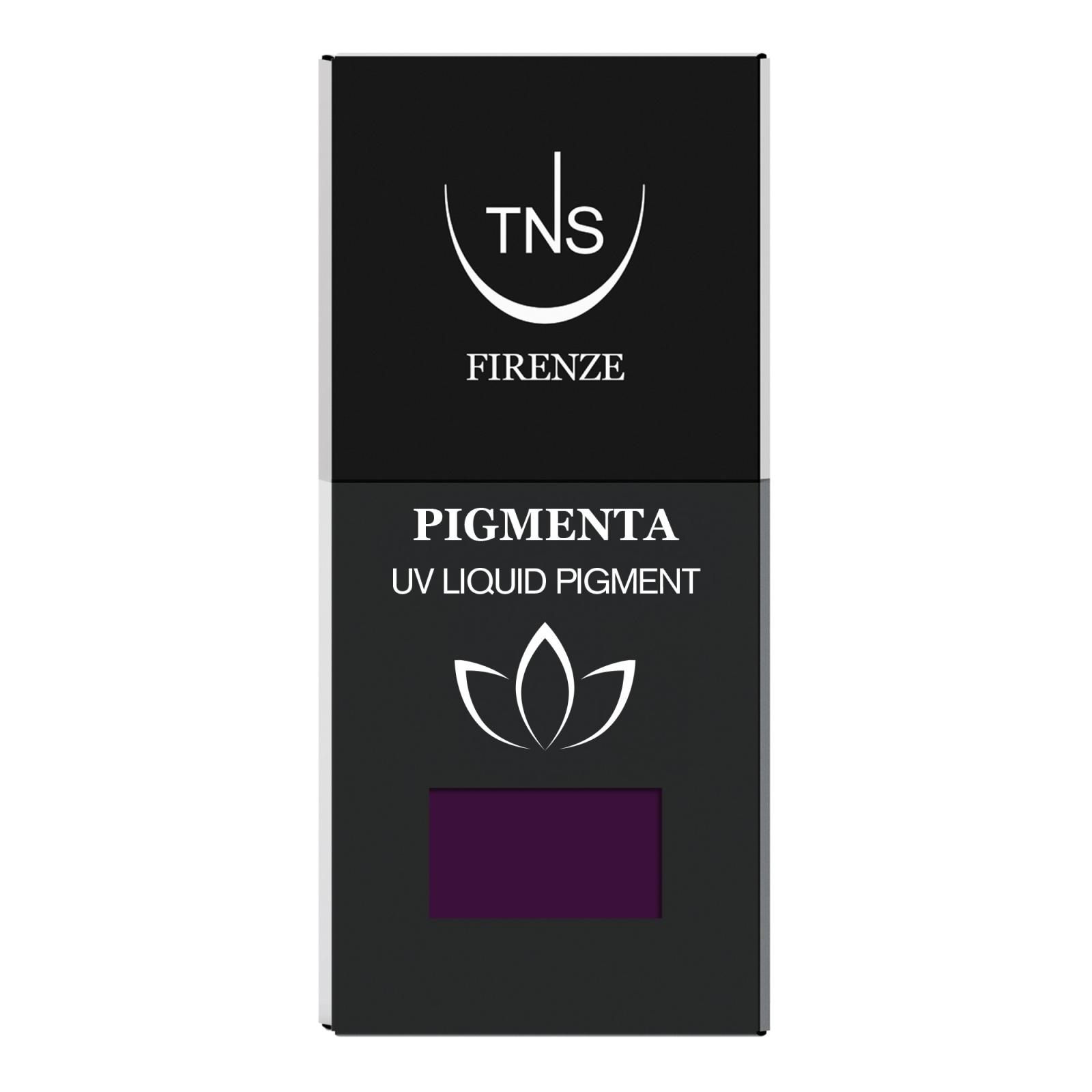 UV Liquid Pigment Vintage Blossom dark violet 10 ml Pigmenta TNS