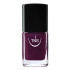 Nail polish Rouches dark purple 10 ml TNS