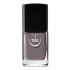 Esmalte Chroma N 10 gris claro 10 ml TNS