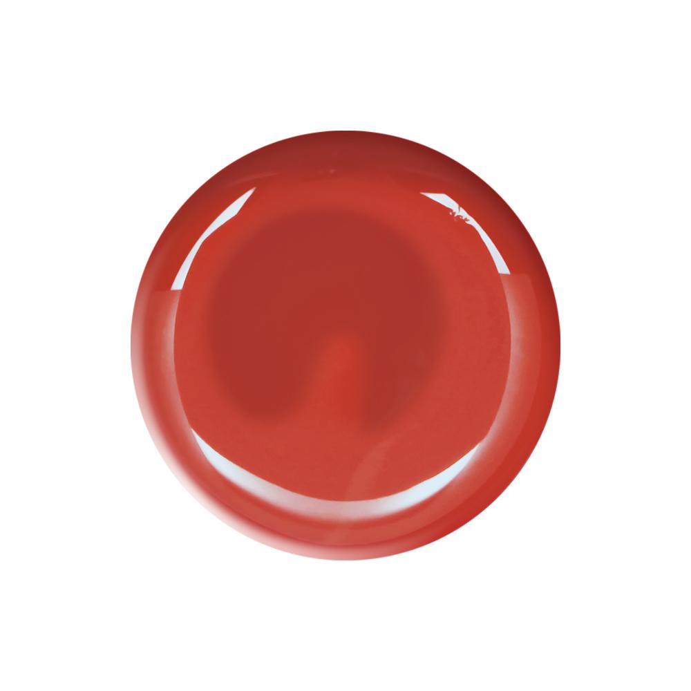 Vernis ongles Orangerie orange brique 10 ml TNS