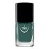 Nail Polish Greenery dark sage green 10 ml TNS