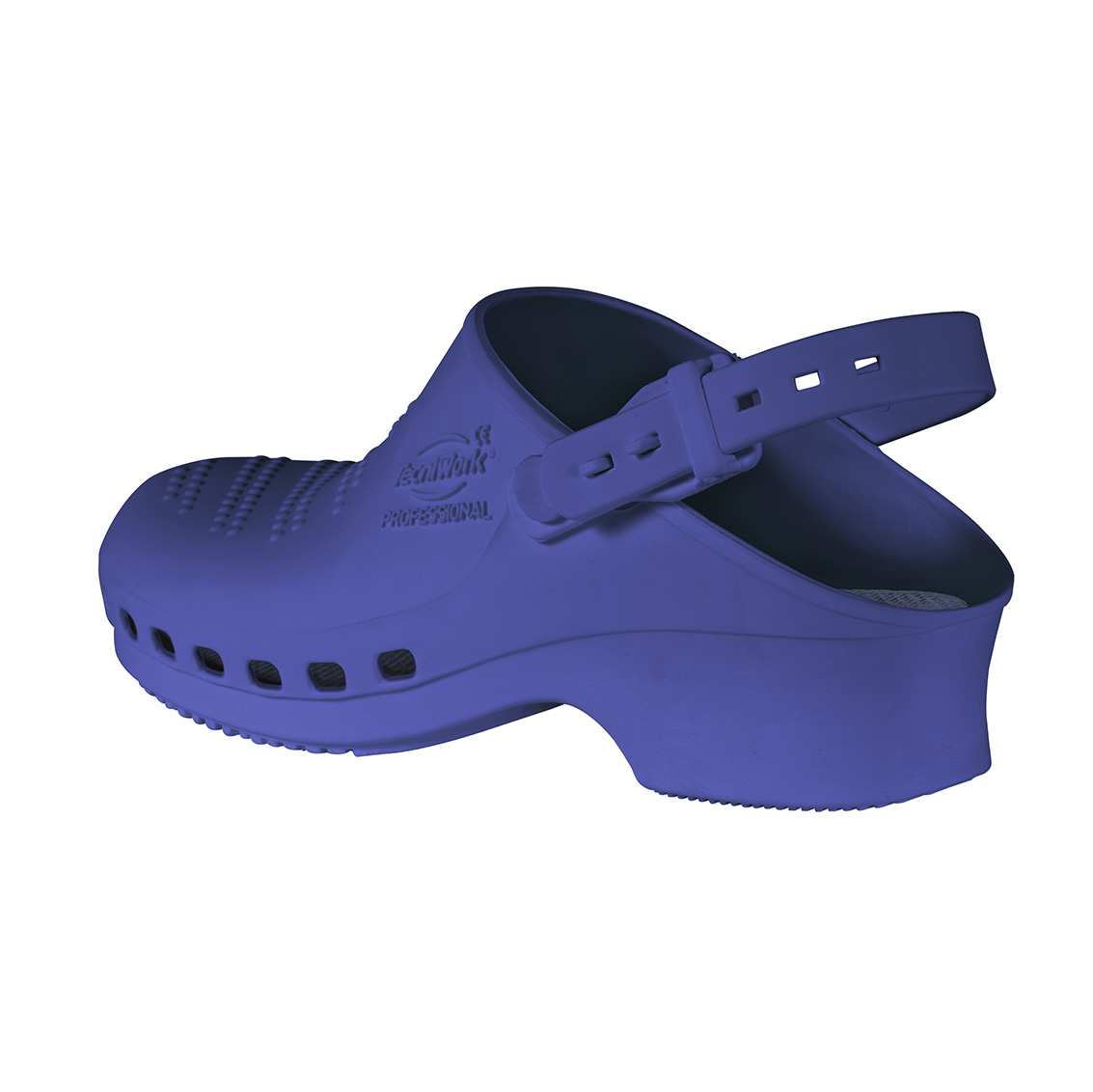 Professional sanitary clogs blue