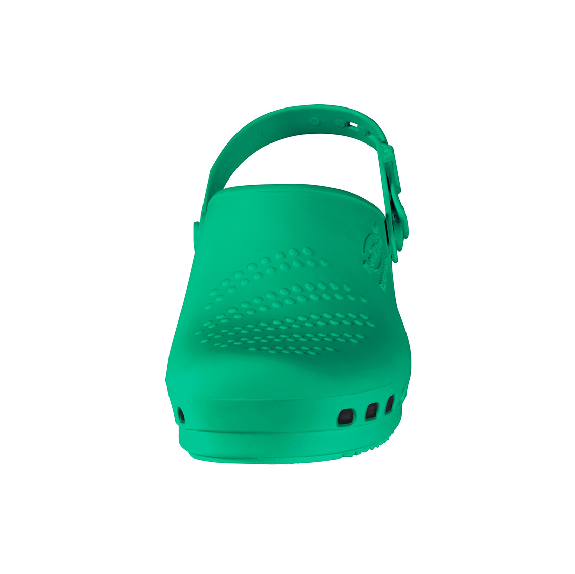 Professional sanitary clogs green