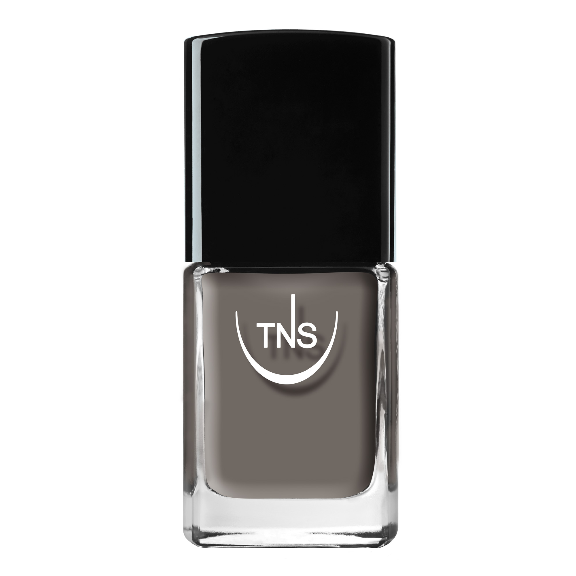 Nail polish Frozen Heaven grey 10 ml TNS