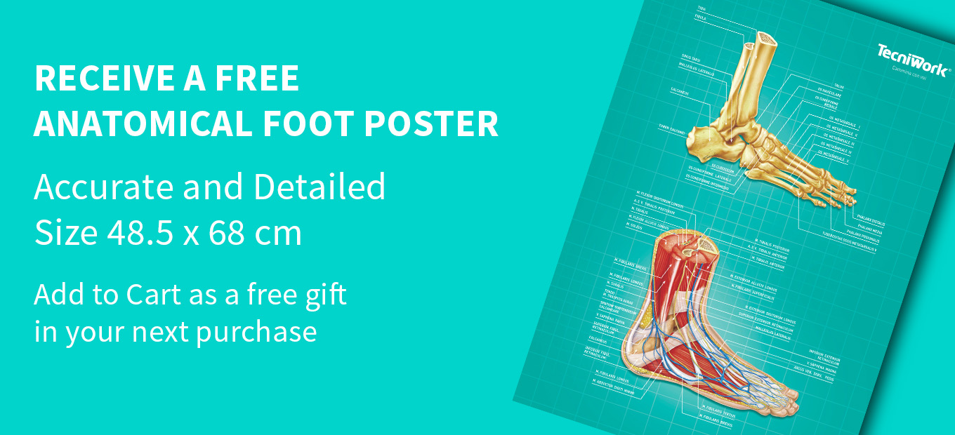 Receive a free Anatomical Foot Poster