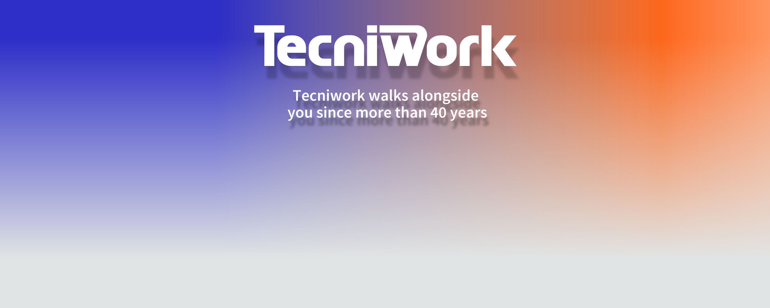 Tecniwork, supporting professionals for over 40 years