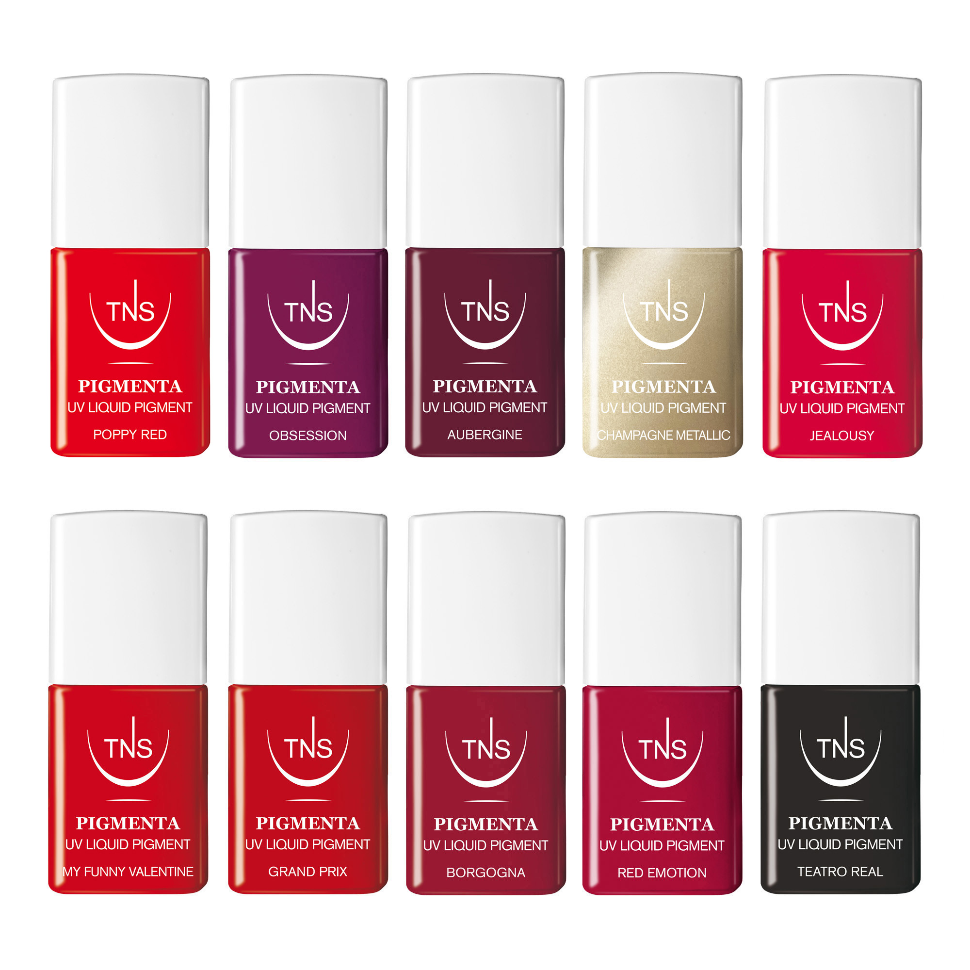 Kit complet promotion Pigmenta pigment liquide UV et lampe TNS Powerled