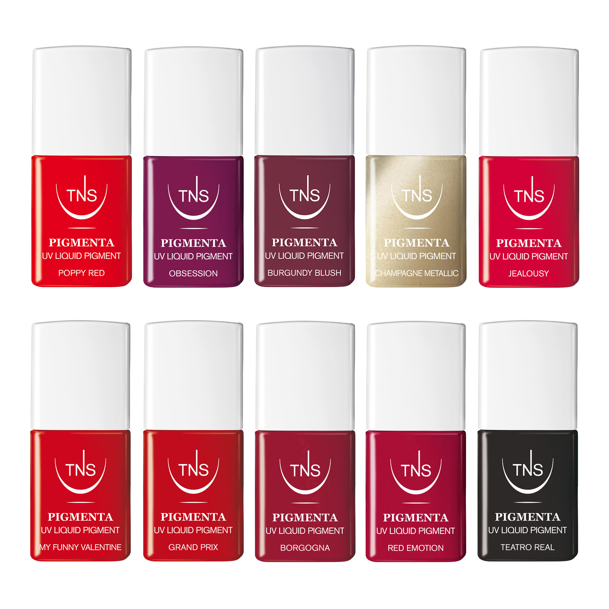 TNS UV Liquid Pigmenta Promotion Complete Kit 47 pcs
