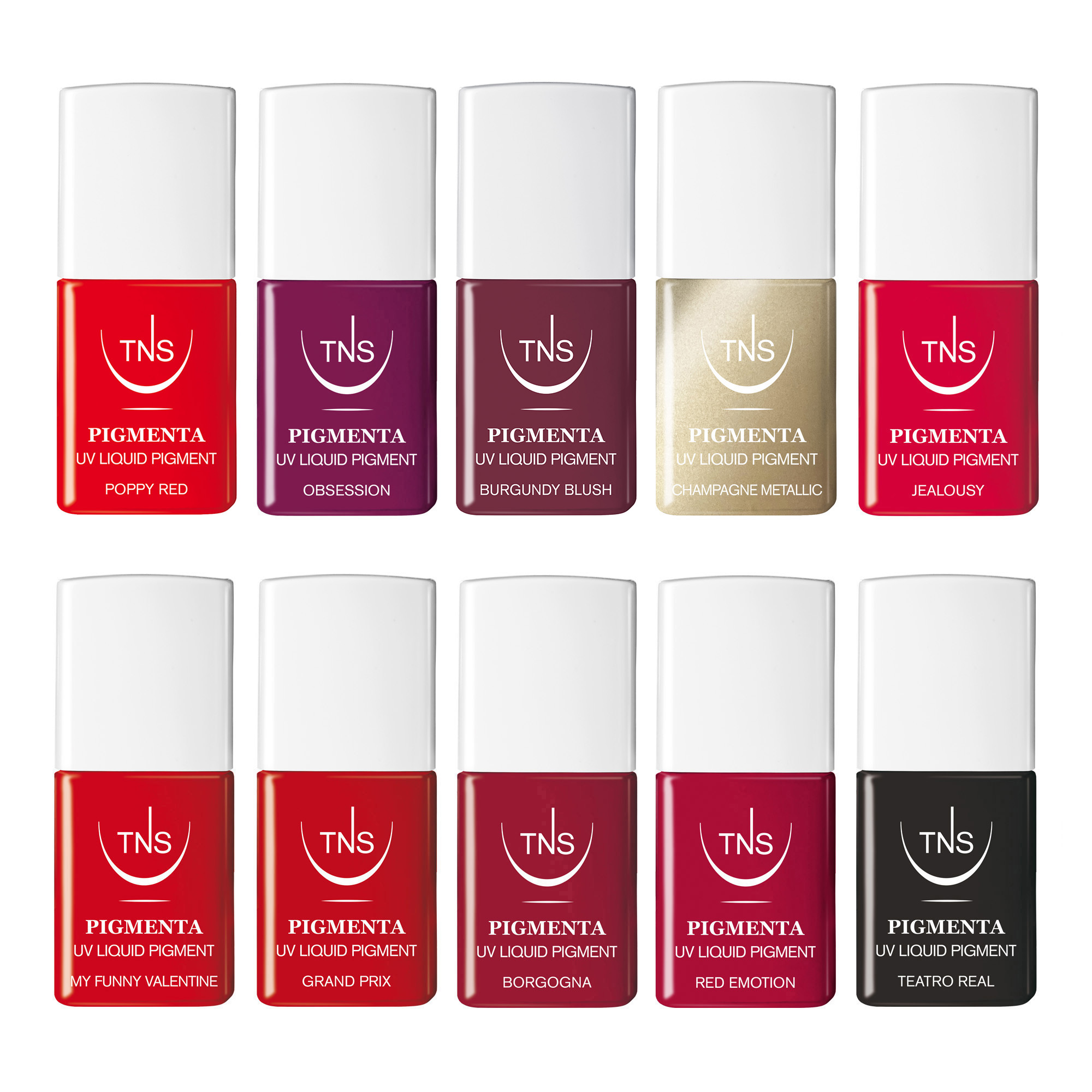 Complete kit promoting UV Liquid Pigment and TNS Powerled Lamp