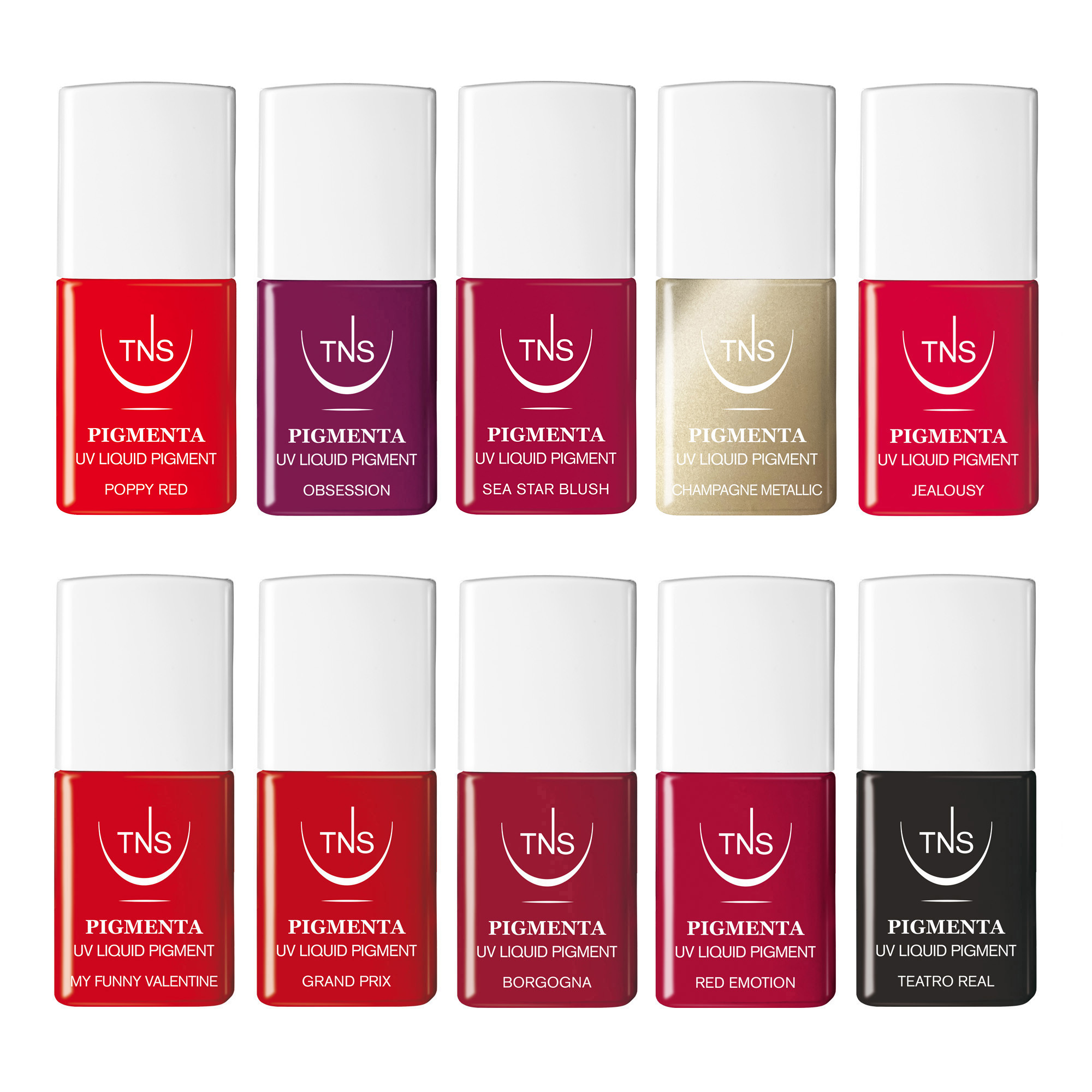 TNS UV Liquid Pigmenta Promotion Kit 47 pc